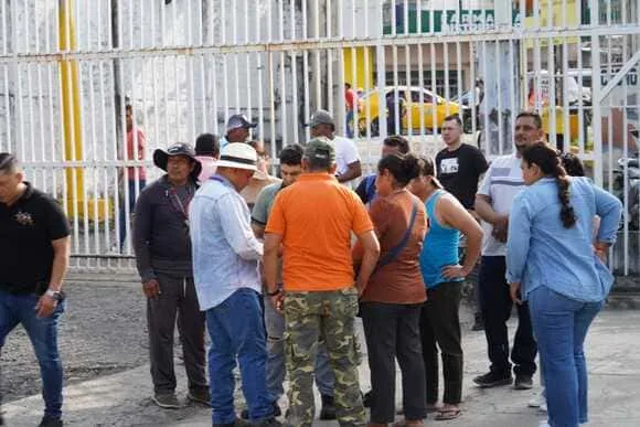ECUADOR: Compra estatal de arroz inicia entre incertidumbres