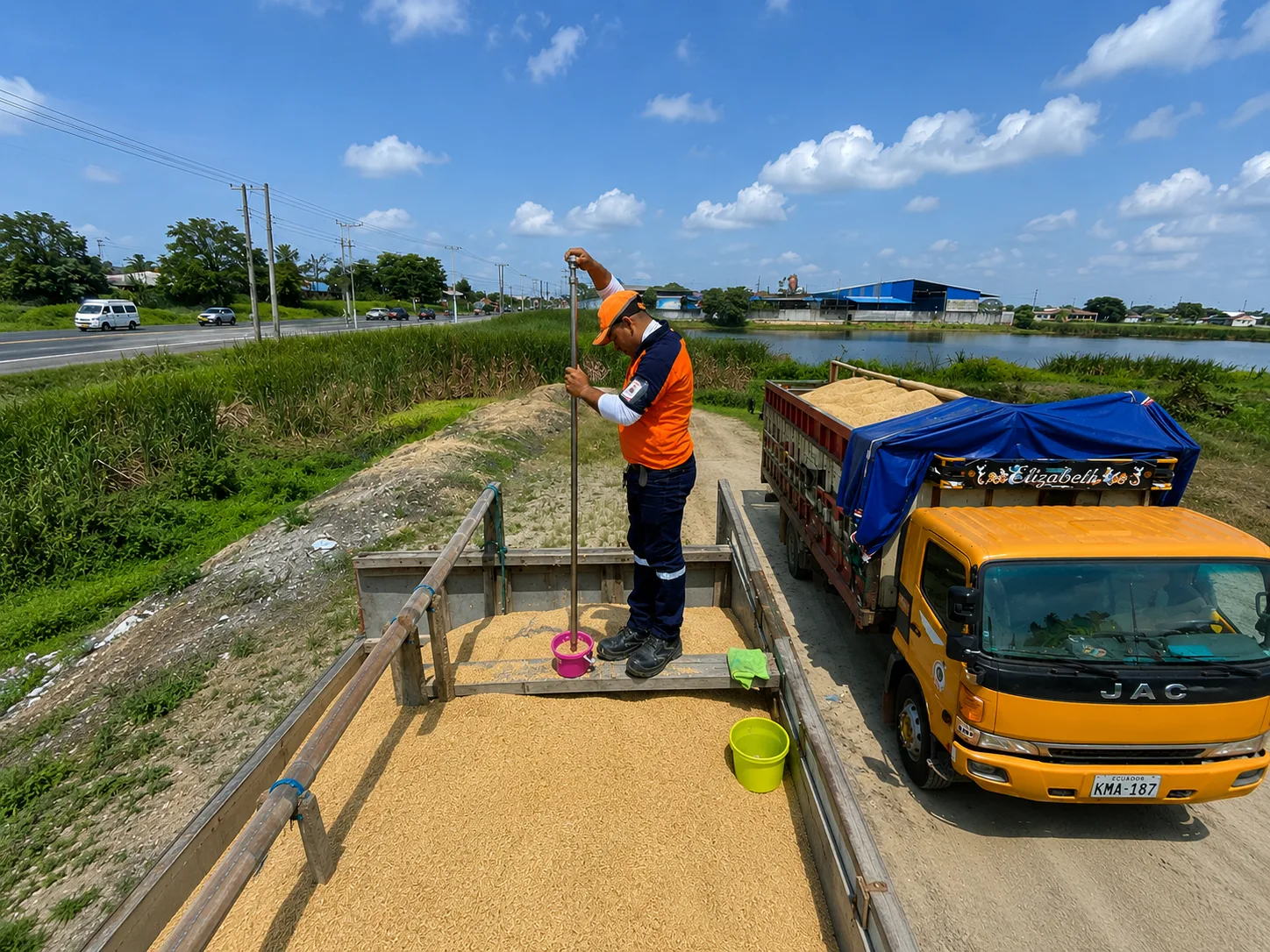 ECUADOR: Compra pública de arroz supera meta parcial, según el MAGP