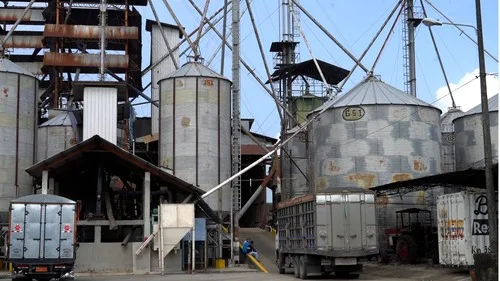 ECUADOR: Gobierno aumenta recepción de arroz en Guayas y Los Ríos