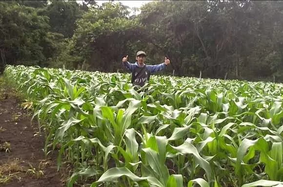 Mejor aprovechamiento de nutrientes será el que impulse al agro en Ecuador