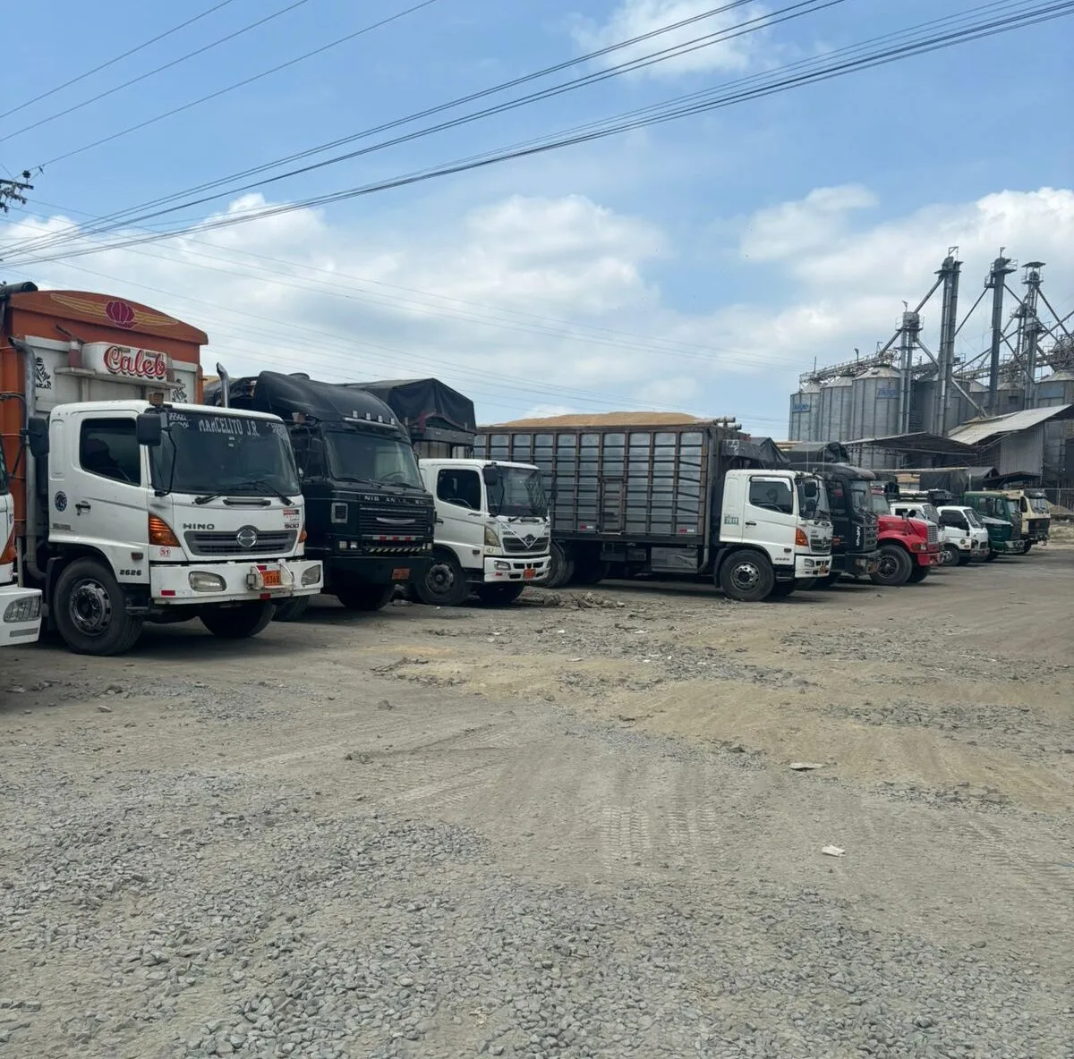 ECUADOR: Problemas en recepción de arroz generan pérdidas a productores