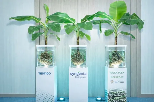 ECUADOR: La ciencia canadiense detrás de una generación única de bioestimulantes