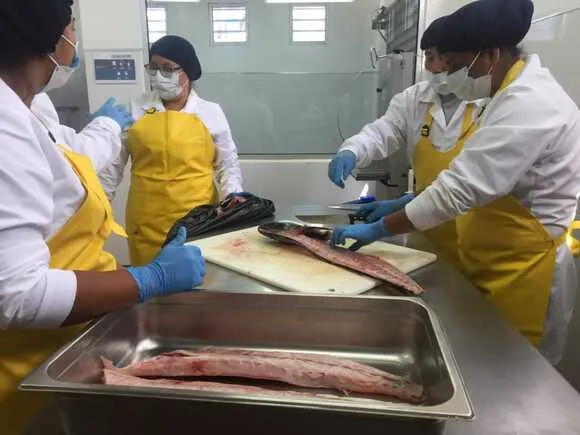 ECUADOR: Desarrollan 75 prototipos de productos pesqueros en el país