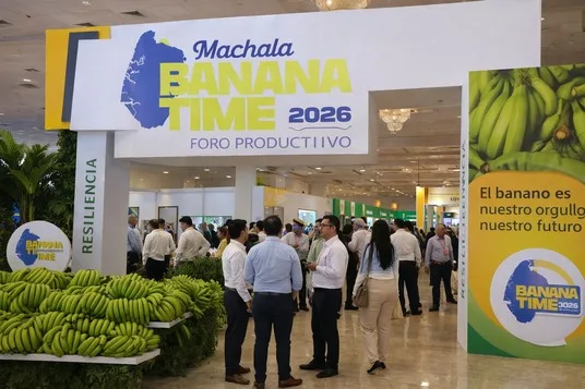 ECUADOR: Machala reunirá a expertos mundiales para enfrentar la amenaza del Fusarium en el banano