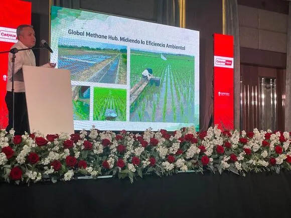 ECUADOR: IICA presentó en foro arrocero iniciativas para impulsar una producción sostenible en Ecuador