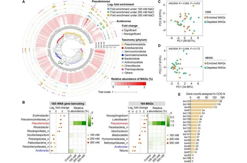 Artículo: Bacterias del suelo fortalecen cultivos en suelos salinos