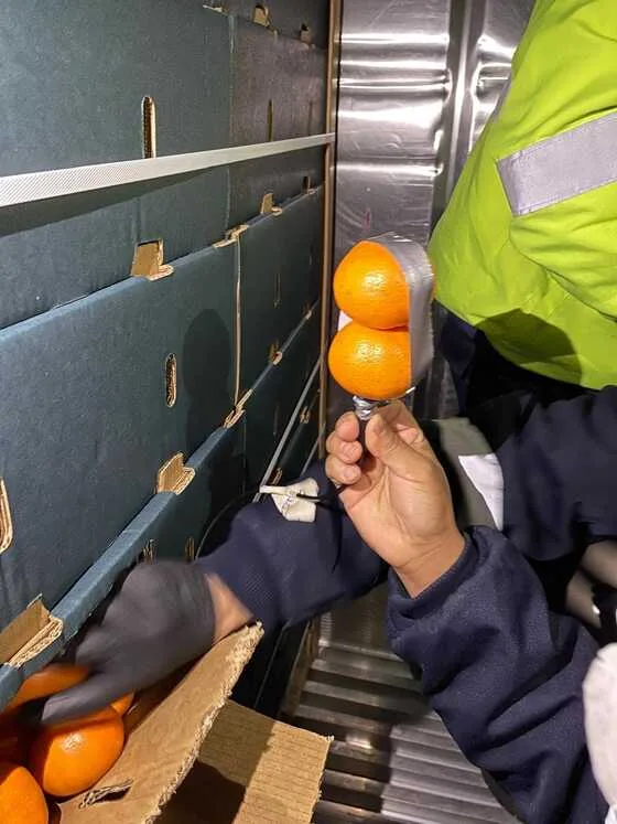 Mandarina Tango ecuatoriana llega a EE. UU.
