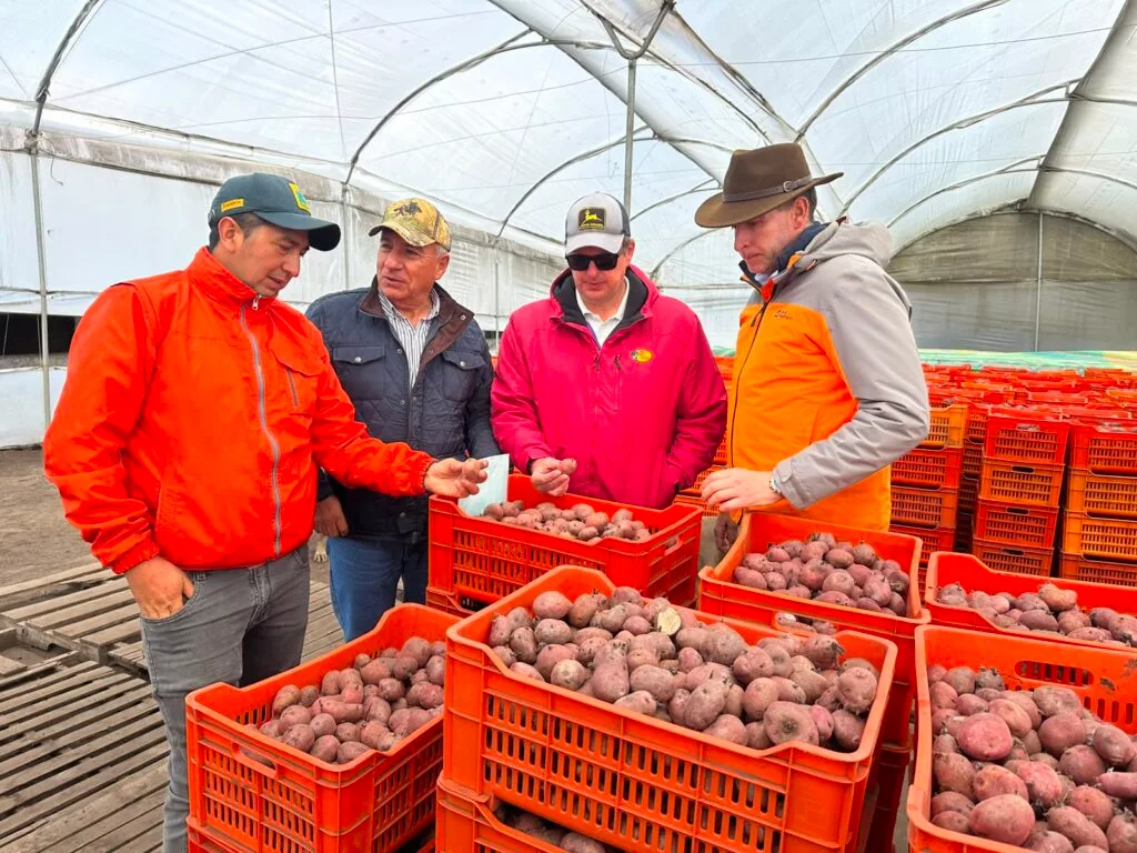 ECUADOR: Tungurahua impulsa la producción de semilla certificada de papa