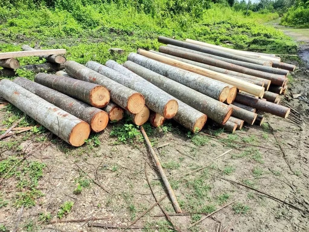 Ecuador busca proteger mercados para la balsa
