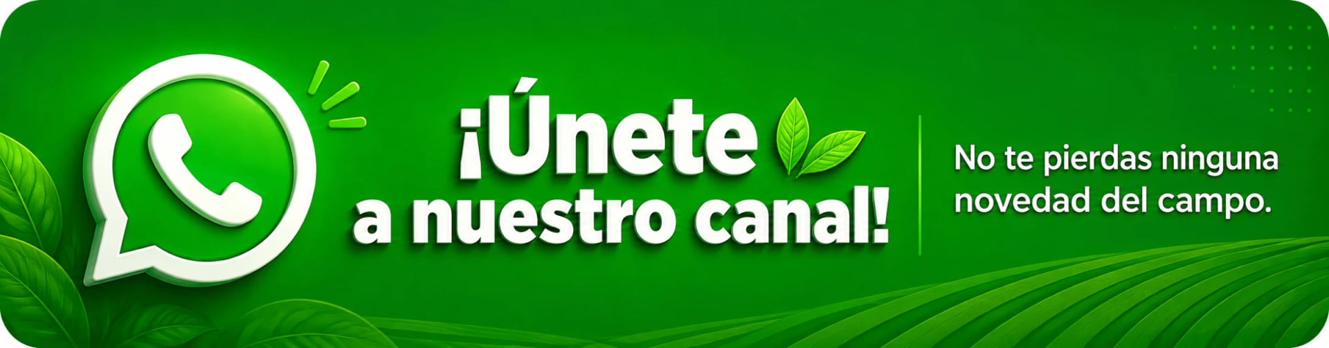 Publicidad · Canal de WhatsApp