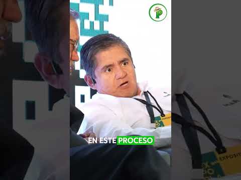 ¿El MOKO está arruinando tu banano? Hay algo que está dando…