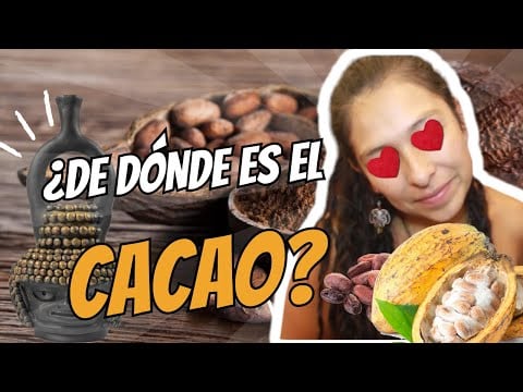 ¿De Dónde Es El Cacao? | ¿Sabías Qué El Cacao Es Ecuatoriano?