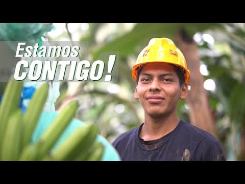 Productores Bananeros Héroes ante el Covid-19