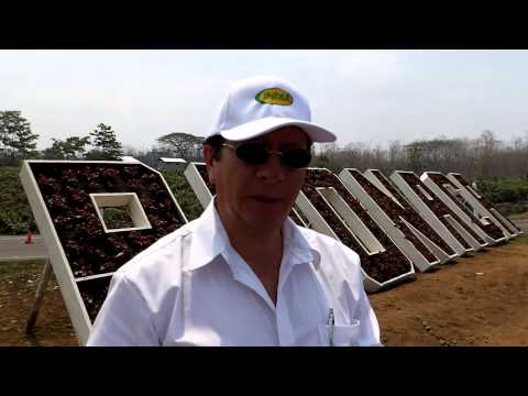 EL DÍA DEL AGRICULTOR de PRONACA | ElProductor.com