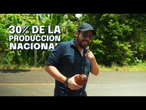¿El cultivo de CACAO es RENTABLE en 2026? ¿Cómo duplicar la…