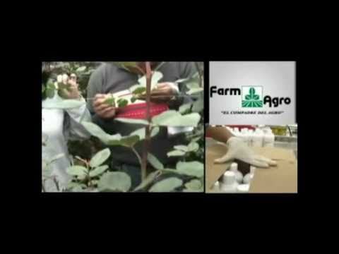 Empresas Agrícolas de Ecuador | Farmagro