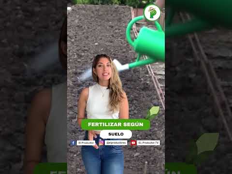 ¿Ganar $5,000 con solo 1 hectárea de maíz? ¡Sí se puede! #agricultura…