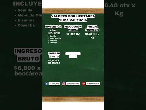 Gana $6000 cultivando Yuca #shorts #cultivodeyuca #inversiones…