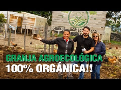 ¿Cómo hacer una Granja Agroecológica con solo $300!! y 100% Orgánica!!