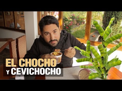 El Cultivo del Chocho - Probando el CEVICHOCHO