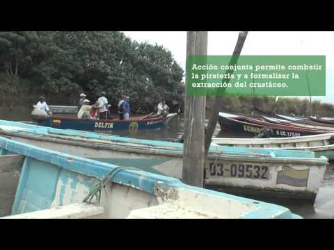 ECUADOR : CAMARONEROS Y CANGREJEROS DE BALAO SE UNEN