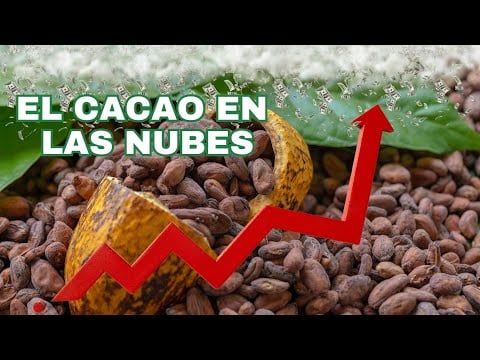 El ALZA del CACAO explicada: ¿Por Qué Ecuador salió GANANDO?