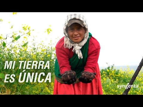 AMOR por El Campo, La Agricultura