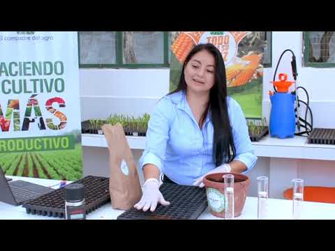 Control de calidad de Semillas - Serie / Agricultura para la Vida