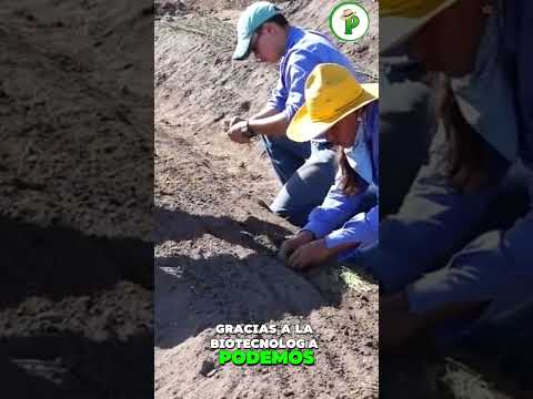 ¿Tu suelo da todo su potencial? Descúbrelo aquí