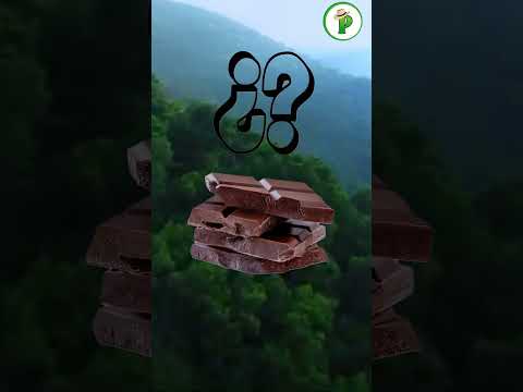 ¡El cacao ecuatoriano sigue subiendo y nos pone en el top mundial!