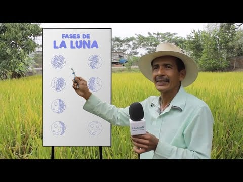 Cómo usar las Fases Lunares Para Sembrar, Cosechar, Injertar y Domar…