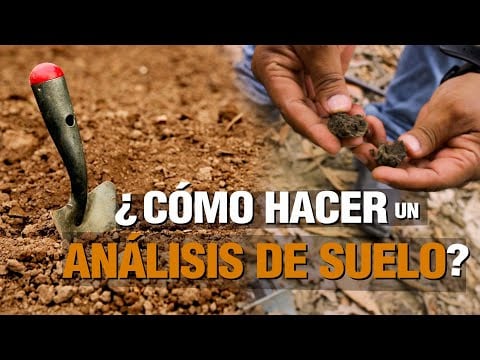 ¿Cómo hacer un ANÁLISIS DE SUELO Y FOLIAR en el campo?