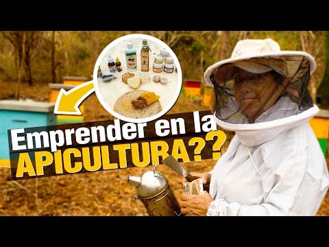 ¿ Cómo tener éxito EMPRENDIENDO con MIEL de ABEJA ?