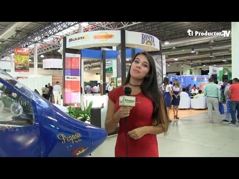 FERIAS BANANERAS - INNOVACIÓN Y OFERTAS