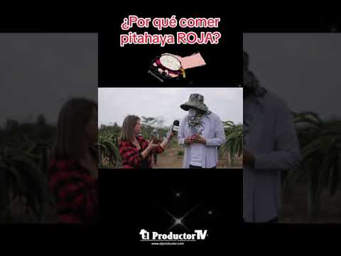 ¿Por qué comer Pitahaya Roja?, conoce sus beneficios
