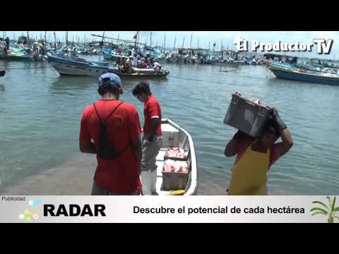 PESCA ARTESANAL ECUATORIANA SE MODERNIZARÁ