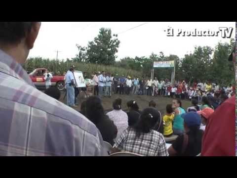 Cosecha de maíz en Ecuador