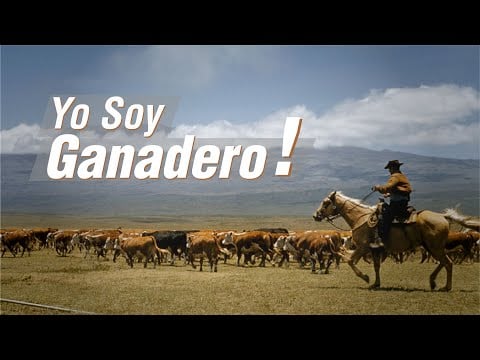 Amor por la Ganadería frente al Covid-19
