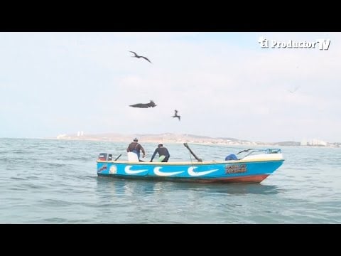 Magap intensifica combate a la pesca ilegal que atenta contra las…