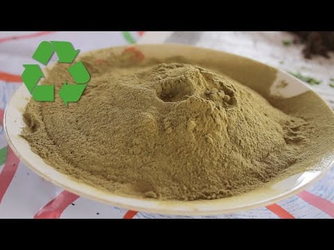 ¿Cómo hacer ABONOS e Insecticidas ORGÁNICOS? PASO A PASO