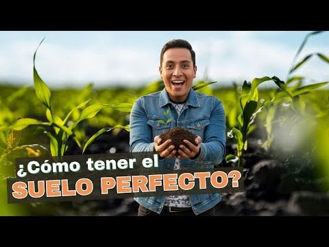 Mejora Tu Cosecha con Estos Secretos