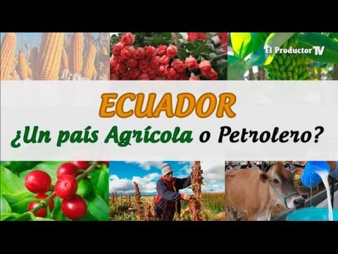 ¿Qué prefieres? ¿Un país agrícola o petrolero?
