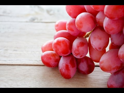 ¿CÓMO CULTIVAR UVA? Ciclo de la vid