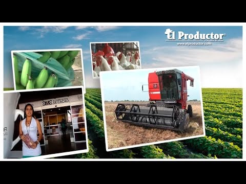 ¿Qué es El Productor TV?