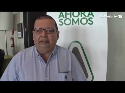 ADAMA: Recomendaciones para el Control de Plagas en Arroz