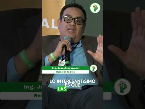 ¿El MOKO está arruinando tu banano? #plátano #moko #ecuador…